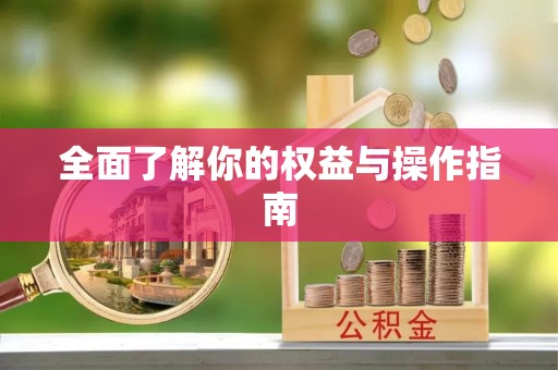 黄岛全面了解你的权益与操作指南