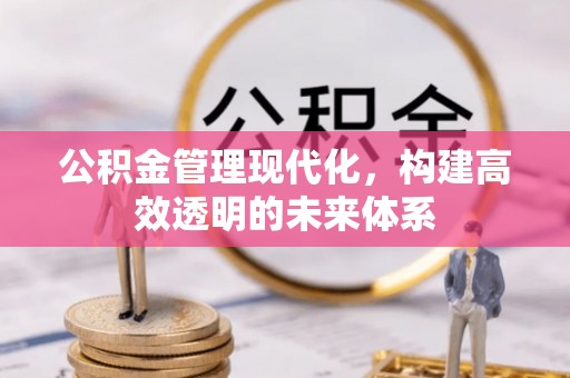 黄岛公积金管理现代化，构建高效透明的未来体系