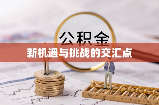 黄岛新机遇与挑战的交汇点