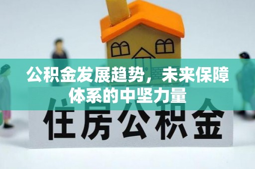 黄岛公积金发展趋势，未来保障体系的中坚力量