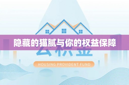 黄岛隐藏的猫腻与你的权益保障