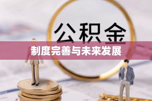 黄岛制度完善与未来发展