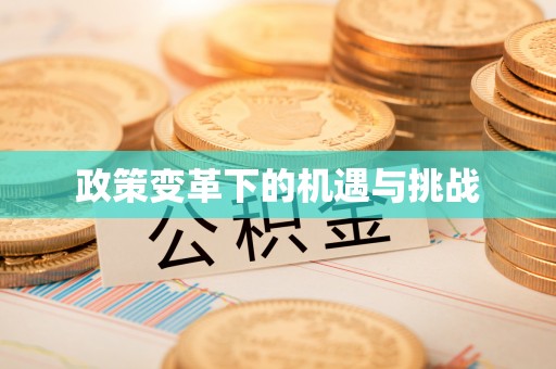 黄岛政策变革下的机遇与挑战