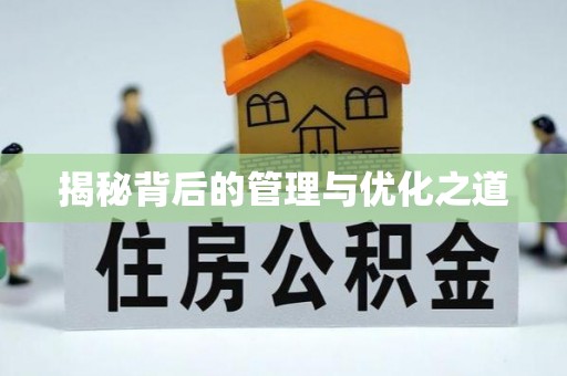 黄岛揭秘背后的管理与优化之道