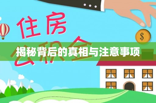 黄岛揭秘背后的真相与注意事项