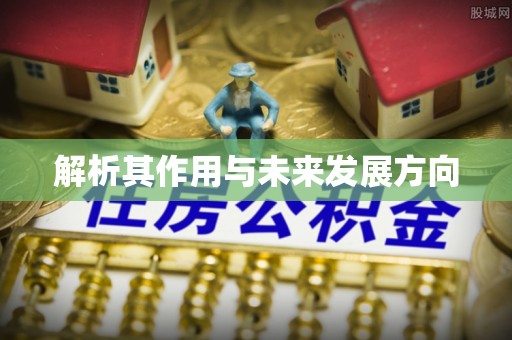 黄岛解析其作用与未来发展方向
