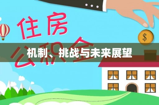 黄岛机制、挑战与未来展望