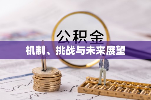 黄岛机制、挑战与未来展望